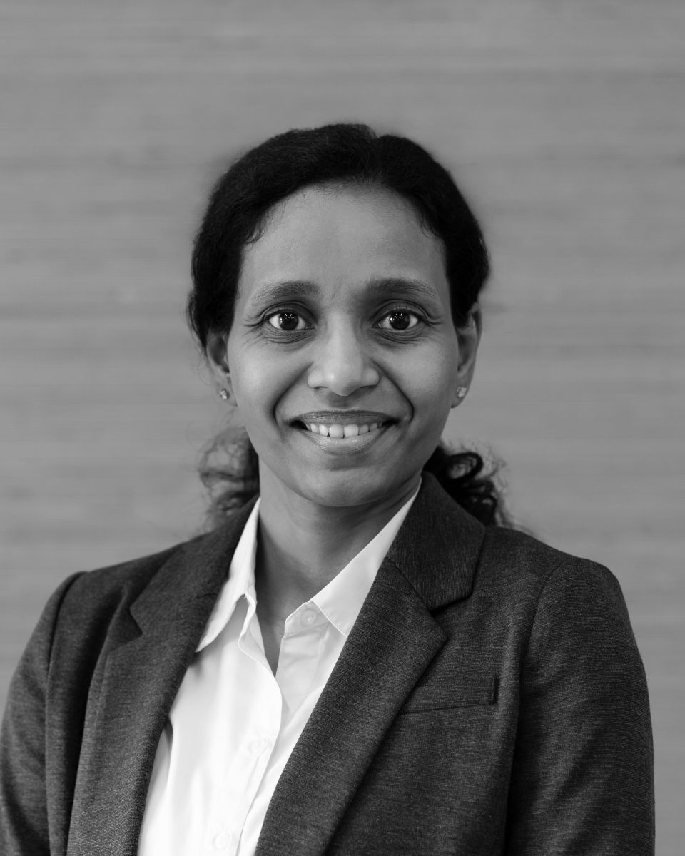 Sangame Krishnamani image